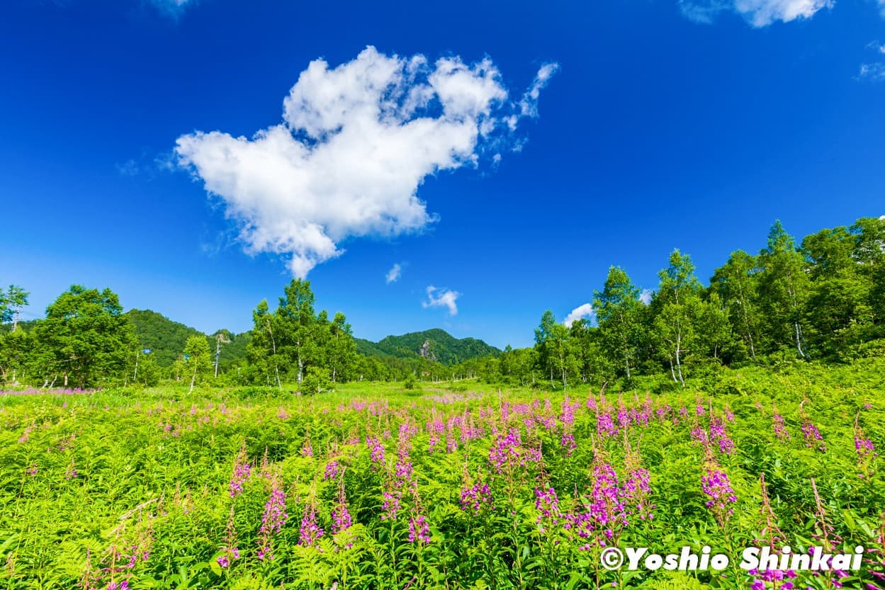 志賀高原