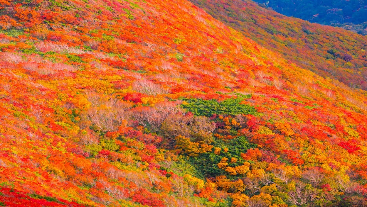 栗駒山